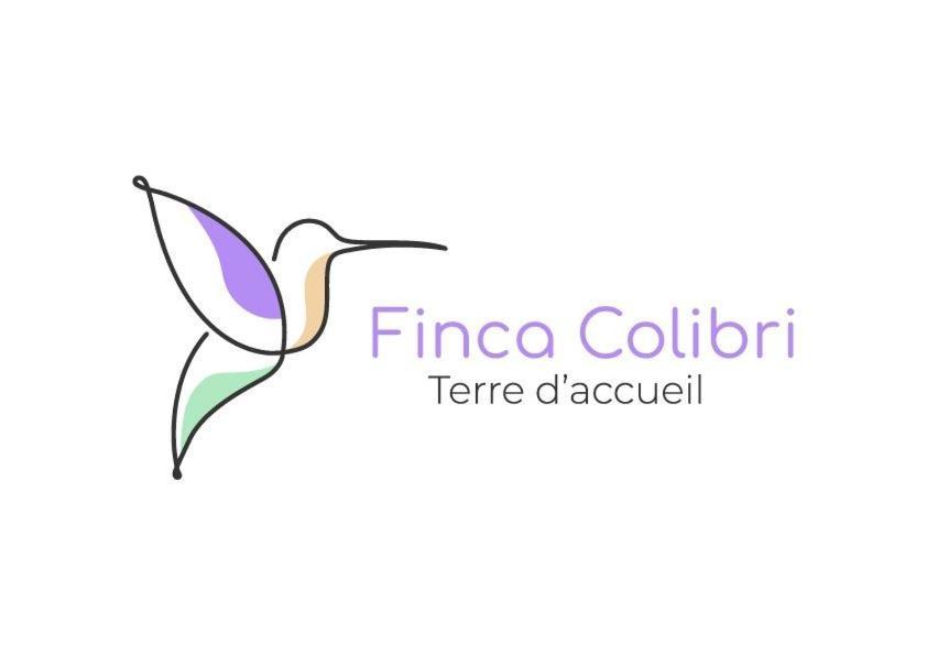 Lodge Colibri En Pleine Nature Ferry Playa Najanjo Costa Rica