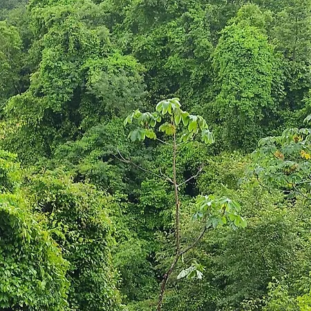 Finca Colibri Ecolodges En Pleine Nature Ferry Playa Najanjo Costa Rica Cabo Blanco Exterior photo