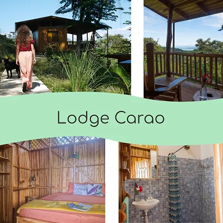 Finca Colibri Ecolodges En Pleine Nature Ferry Playa Najanjo Costa Rica Cabo Blanco Exterior photo