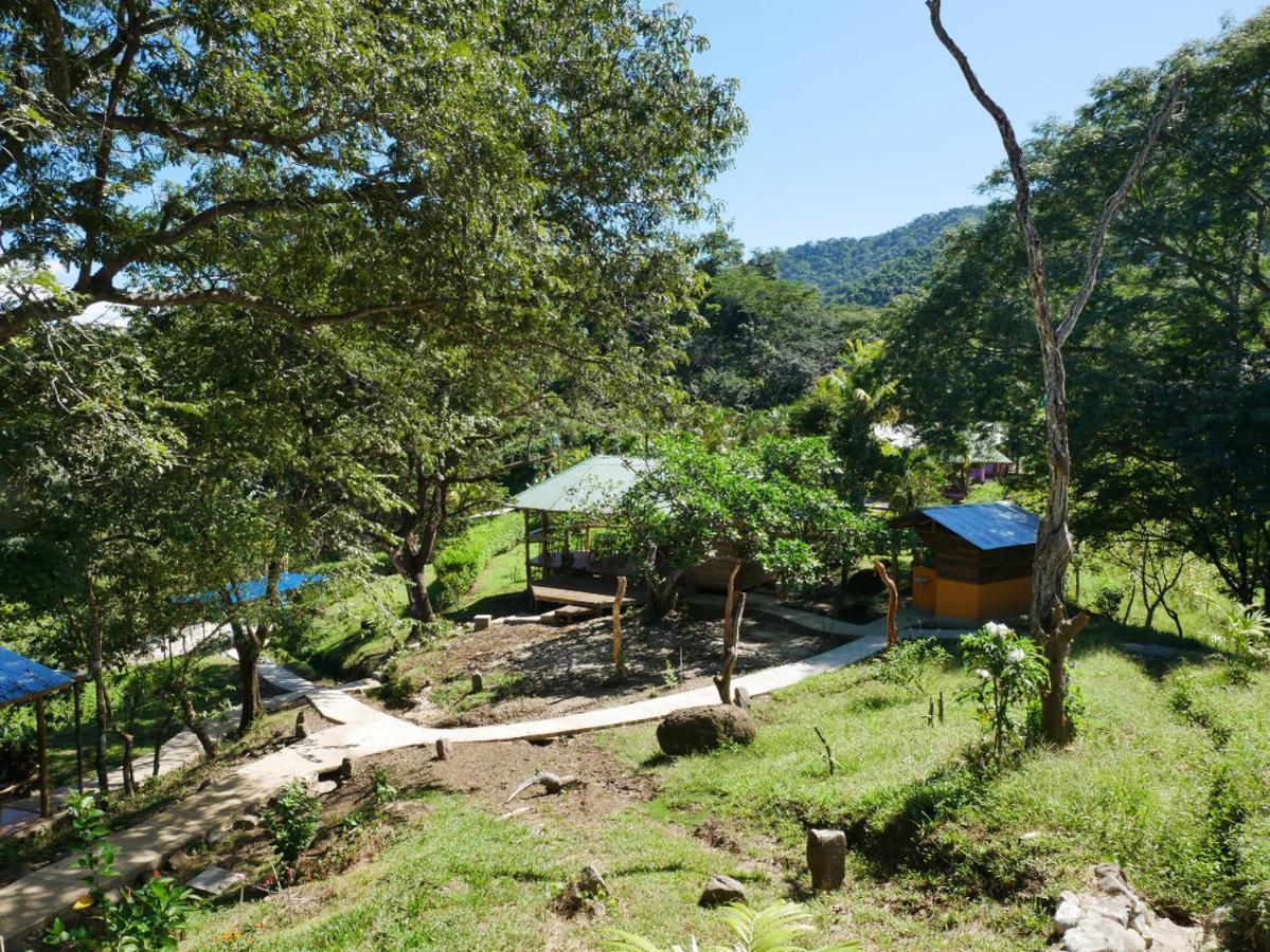 Lodge Colibri En Pleine Nature Ferry Playa Najanjo Costa Rica