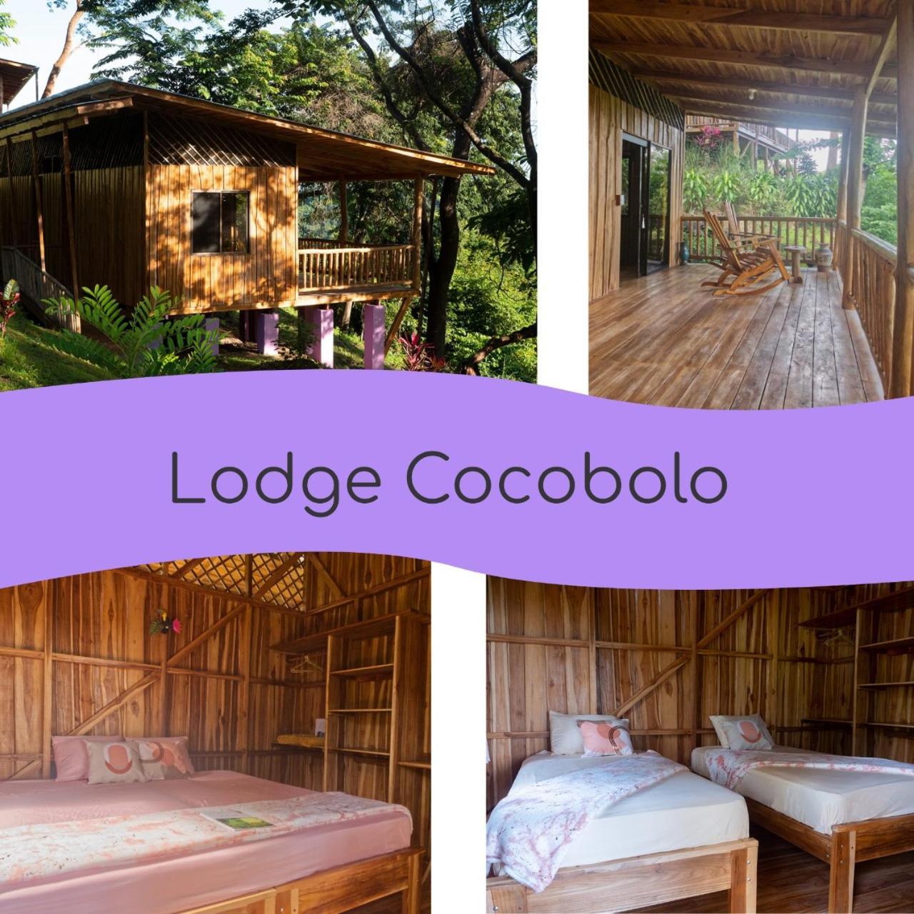 Lodge Colibri En Pleine Nature Ferry Playa Najanjo Costa Rica *